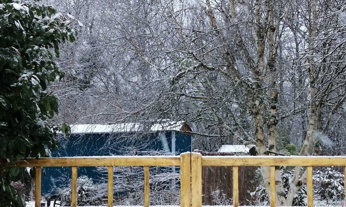 Holcombe Burnell Cabina | Luxury Shepherds Hut Retreat in Devon near Exeter & Dartmoor. Views into woods.