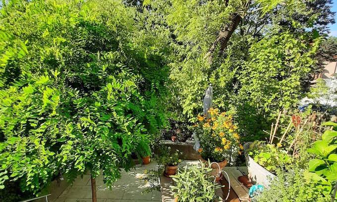 Kriegshaber Apartamento | Luxusappartement mit Eigenem Garten Nähe Zentralklinikum