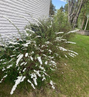 Pitea Apartamento | Målargatan 1
