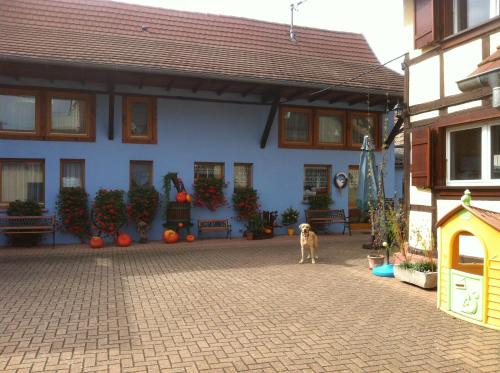 Lipsheim Casa | Mélodies d'Alsace