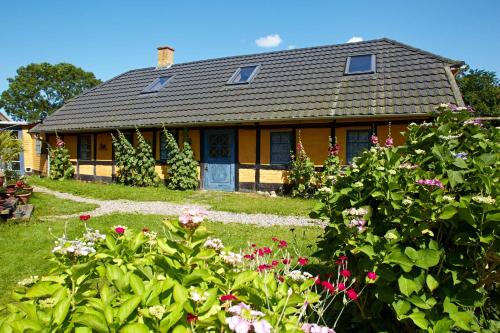 Nordborg Casa | Møllegade 1 Holiday House