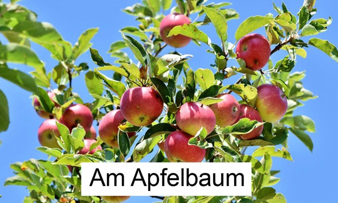 Muritz Apartamento | Müritz Apartment Am Apfelbaum