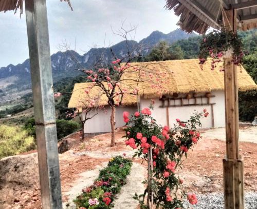 Moc Chau Casa | Mường sang farmstay