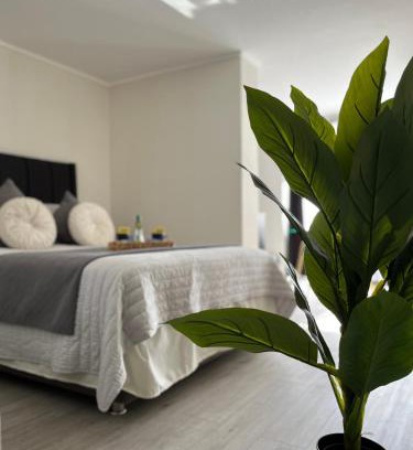 Downtown Santiago Apartamento | M&C Departamento Republica 701