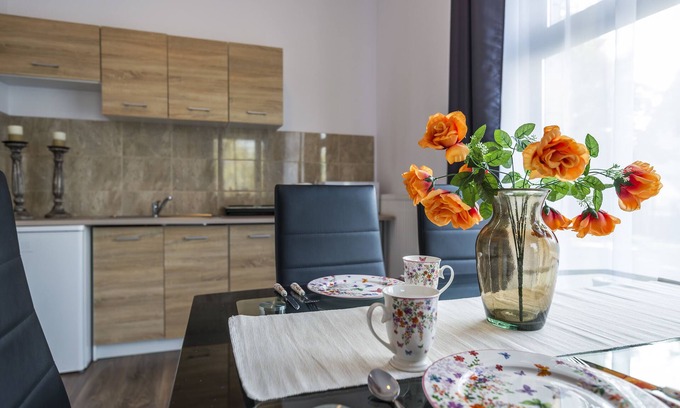 Psie Pole Apartamento | Mała Italia Apartments