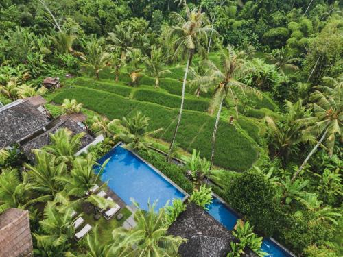 Payangan Complejo | Maar Resort & Spa Ubud by Ini Vie Hospitality
