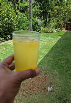 Palindanuwara Apartamento | Madu's Mountain View Home