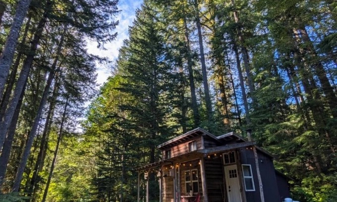 Ashford Cabina | Magical Woodland Retreat just 8 miles from Mount Rainier national Park!