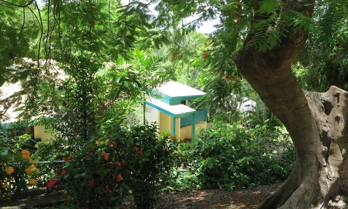 Arcadia Apartamento | Magnetic Reef 3 - Relaxing tropical getaway with lush gardens and complex pool, minutes to Alma Bay
