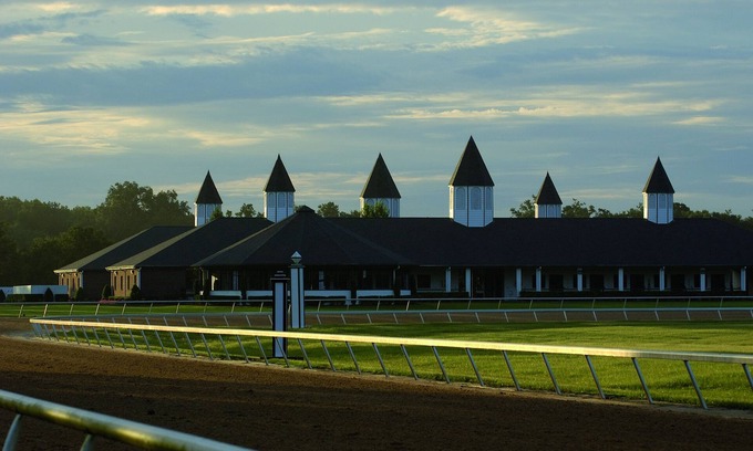 Summerfield Casa | Magnificent Thoroughbred Farm in the heart of Florida Horse Country. Stalls too!