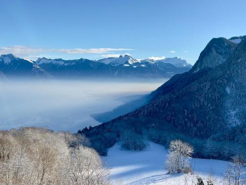 Thollon-les-Memises Casa | Magnifique Chalet Panorama ALPENGRUSS