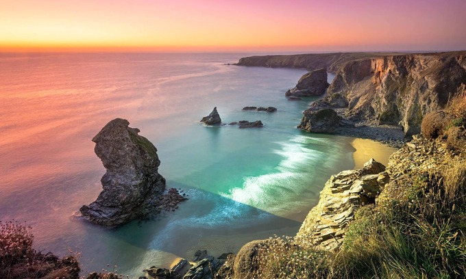 Newquay Cabina | Magnolia Dog - A luxury couples+ Yurt on a stunning historic estate near Newquay. Dog friendly