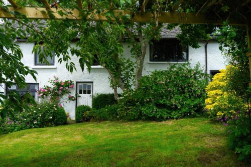 Barnstaple Casa | Magnolia View