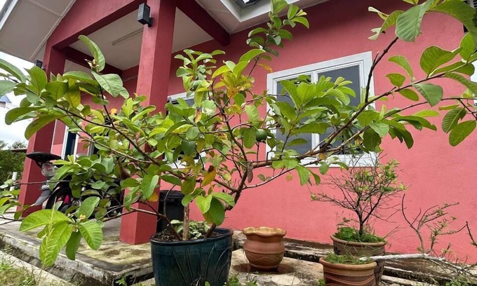 Setiu Cama Y Desayuno | Mahasa Penarik Homestay