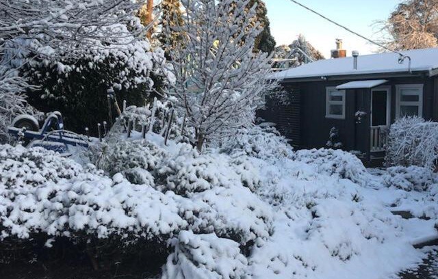 Mount Victoria Casa | Maisie's Cottage