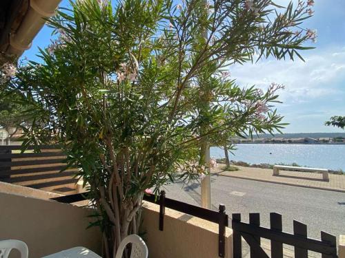 Port-la-Nouvelle Casa | Maison 2 pièces, cabine, 6 pers, plage à 400m, parking, terrasse - FR-1-229C-187