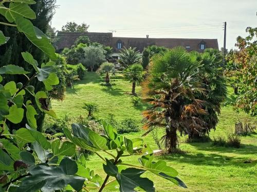 Thorigne-sur-Due Casa | Maison au calme avec jardin exotique pour 7 personnes