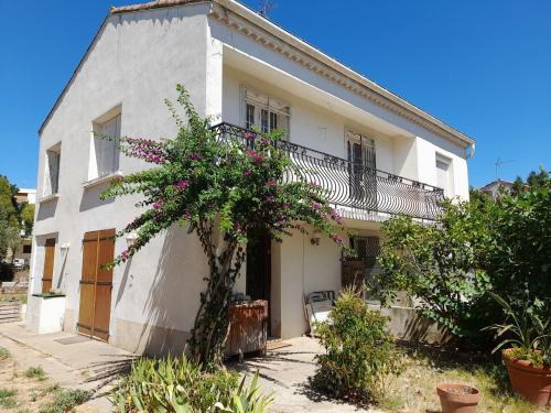 Santa Cruz Casa | Maison avec jardin