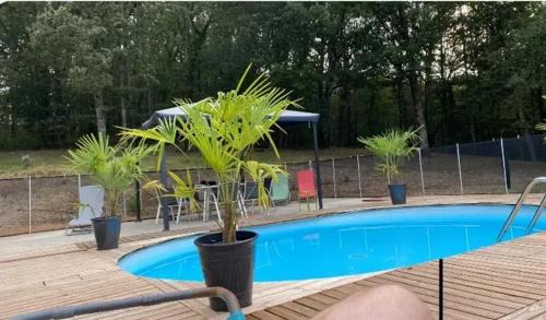 Puygaillard-de-Quercy Casa | Maison charmante à Puygaillard-de-Quercy avec piscine privée