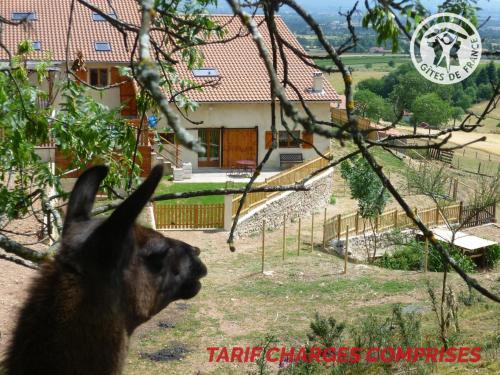Saint-Andre-dʼApchon Apartamento | Maison cosy avec spa, sauna et lamas à proximité de Roanne - FR-1-496-23