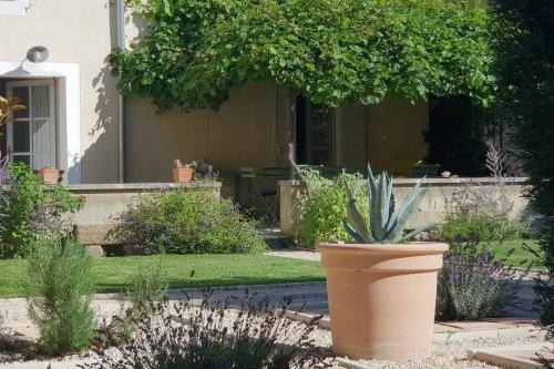 Caderousse Casa | Maison de Charme - l'Intimiste