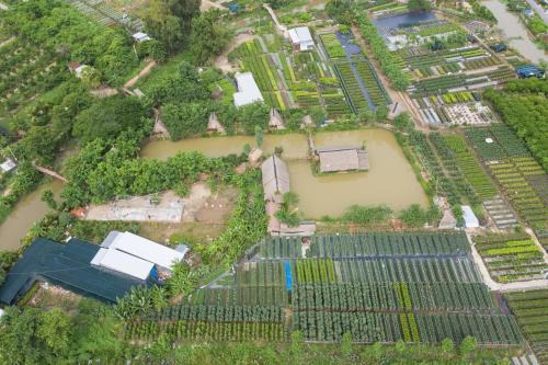 Sa Dec Casa | Maison en Bambou Phong-Le Vent