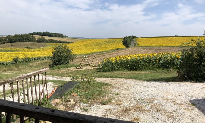 Puylaurens Cabaña | Maison en Campagne Avec une Magnifique Terrasse Couverte en Bois