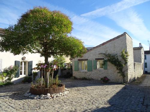 La Flotte Casa | Maison Salicorne