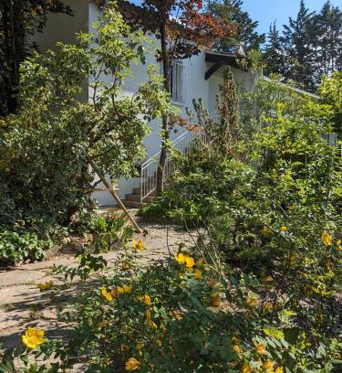 Lavilledieu Casa | Maison spacieuse et lumineuse 4 personnes