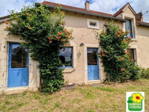 Lussac-Les-Eglises Casa | Maison typique en Berry avec jardin privatif, BBQ et parking - FR-1-591-598