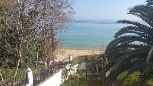 Palaio Tsifliki Casa | Maisonette 25m from the sea