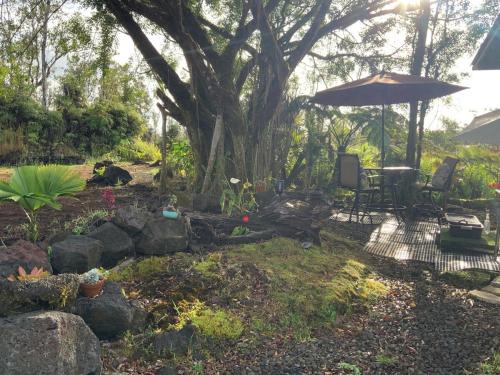 Mountain View Casa | Majestic Banya tree cabin