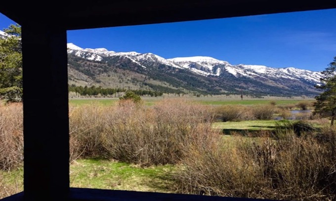 Moose Wilson Road Condominio | Vistas majestuosas de Teton!