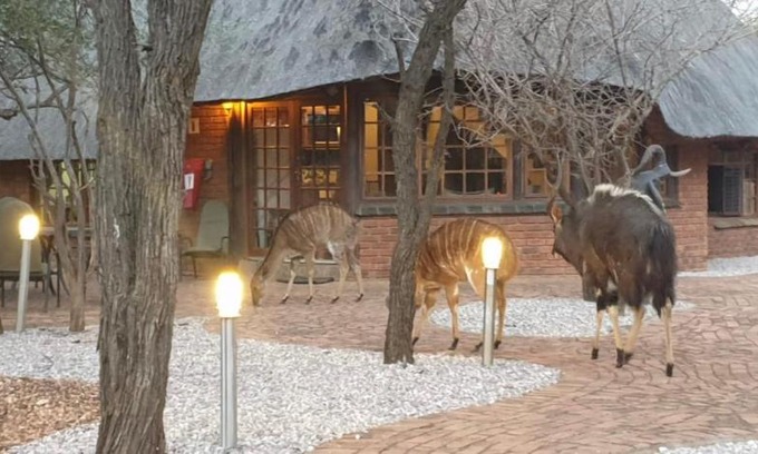 Bela-Bela Casa | Makhato Bush Lodge 3