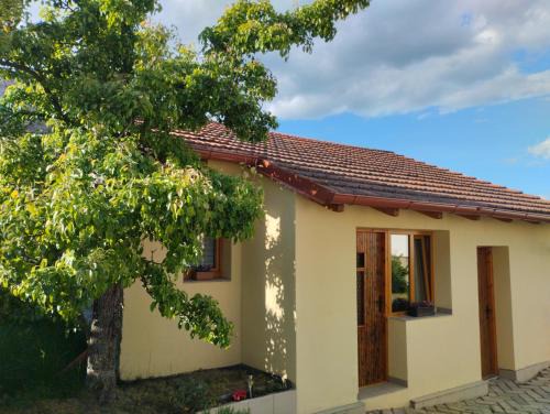 Svinarov Apartamento | Malé útulné studio s koupelnou a kuchyňkou