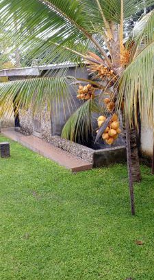 Kribi Villa | Maleh Plus