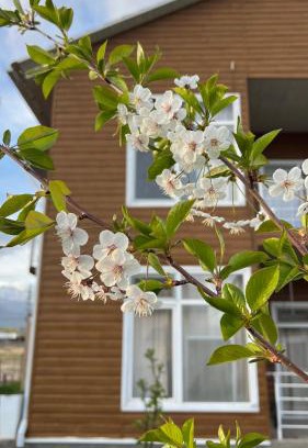 Bosteri Apartamento | Malina guest house