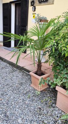 Case Nuove Casa | Malpensa Guest