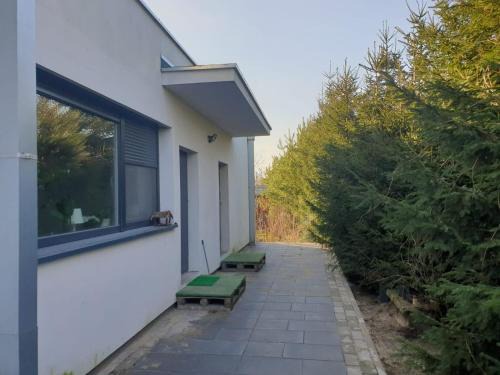 Sroda Wielkopolska Apartamento | Maly apartament w zieleni blisko jeziora