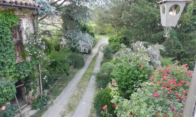 Vesime Cama Y Desayuno | Mamota, un oasis en el Langhe.