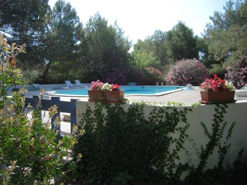 Saintes-Maries-de-la-Mer Casa | Manade Cavallini - Mas de Pioch