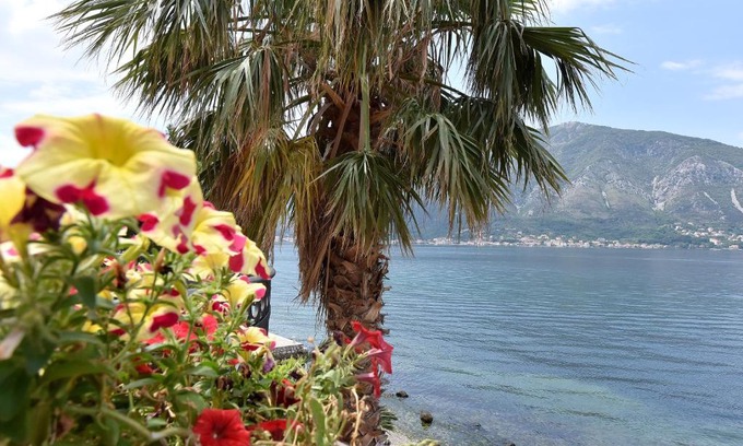 Dobrota Apartamento | Maniva penthouse by the sea