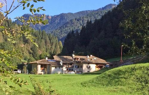 Castello-Molina di Fiemme Apartamento | Mansarda Ai Tigli