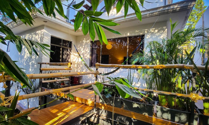 Anáhuac Casa | Mansión Bamboo