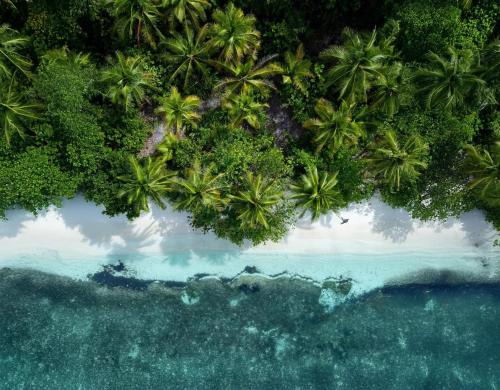 Arborek Casa | Manta Homestay - Raja Ampat