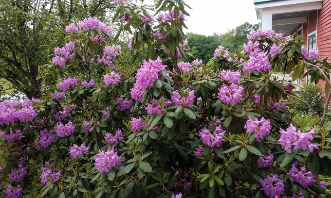 Hallowell Cama Y Desayuno | Maple Hill Farm Inn