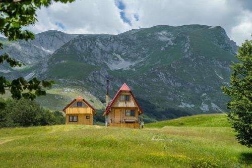 Zabljak Otro | Maple village