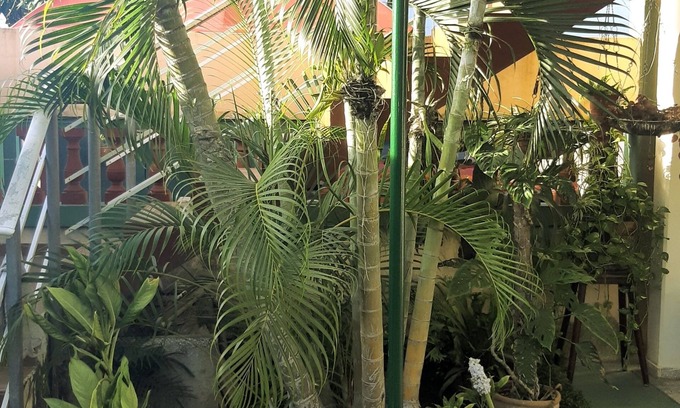 Santa Marta Casa | Mara Hostal