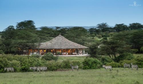 Maasai Mara Otro | Mara Major Camp