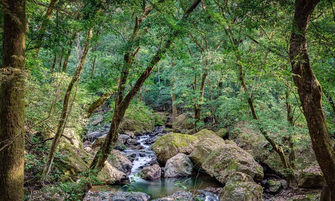 San Mateo Casa | Maracuya. Five Luxury Villas Alongside the Machuca River Found in La Ecovilla